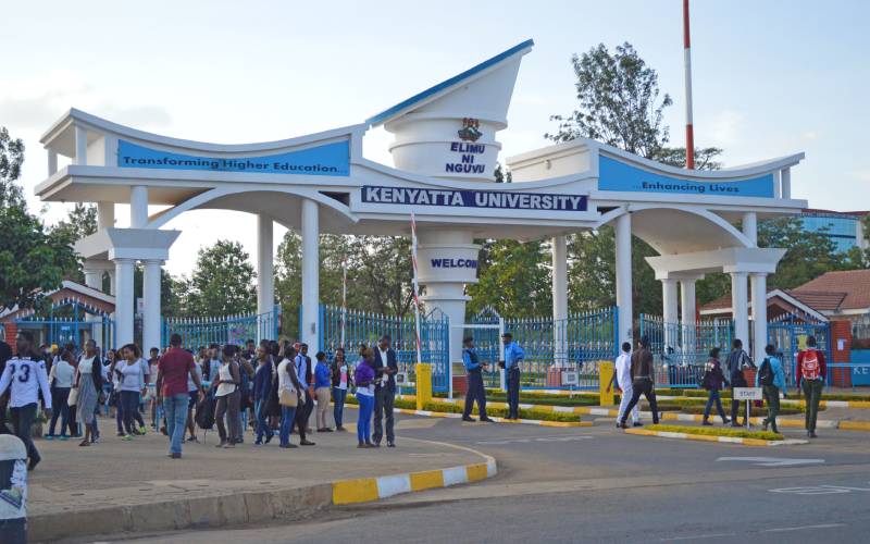 The Kenyan Dream on a Tightrope: Is 'Free' University Education a Mirage or a Milestone?